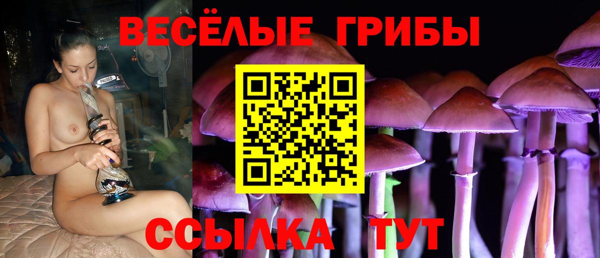 Галлюциногенные грибы Psilocybine cubensis Каменск-Шахтинский